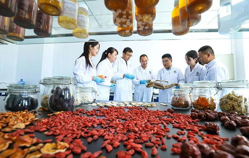 科技賦能，張掖植物工廠助力農特產品提質增效